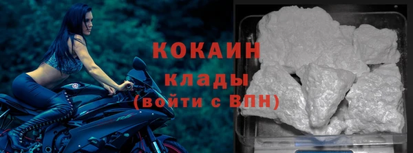 дживик Краснослободск