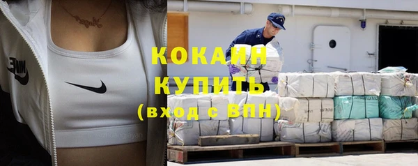 дживик Краснослободск