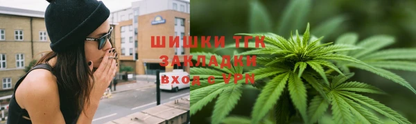 дживик Краснослободск
