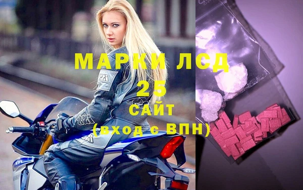 дживик Краснослободск
