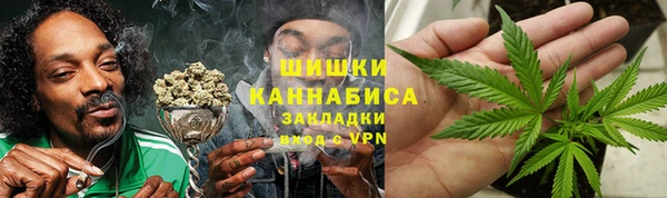 дживик Краснослободск