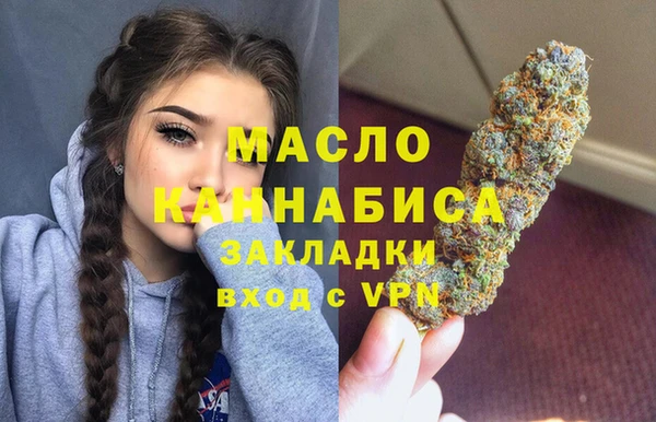 дживик Краснослободск