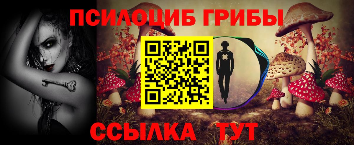 Прохладный  Псилоцибиновые грибы MAGIC MUSHROOMS  Псилоцибиновые грибы Magic Shrooms  Вход с VPN 